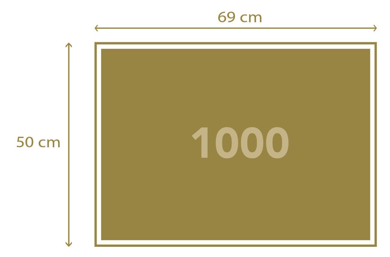 Puslespill 1000 Imposs Puzzle Frozen 2 Clementoni