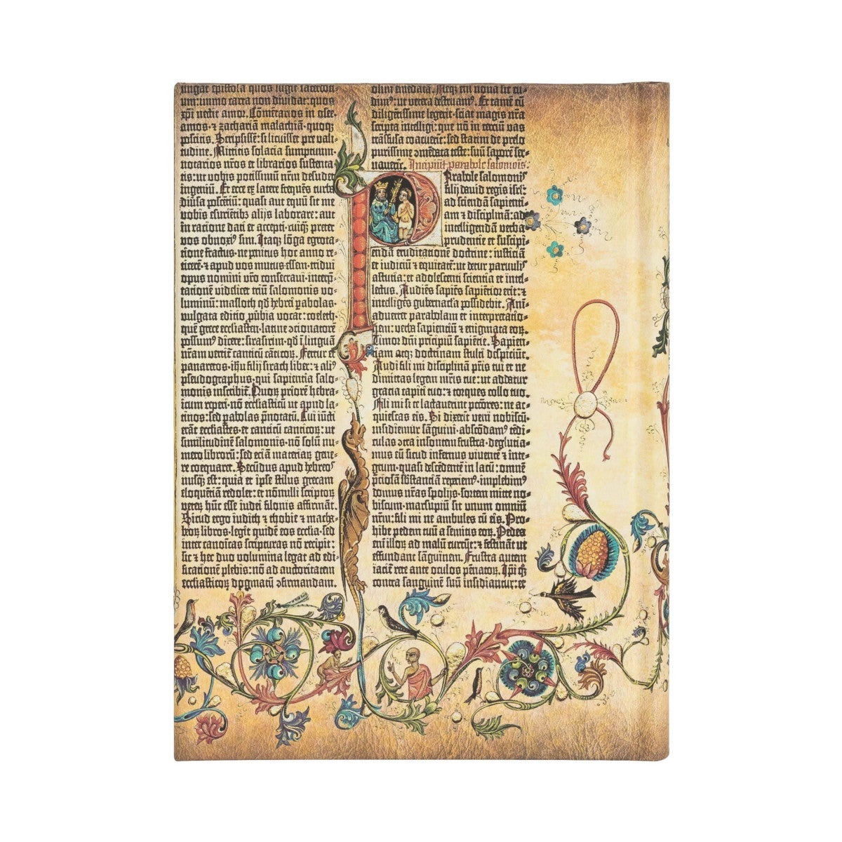 Notatbok Paperblanks Parabole midi