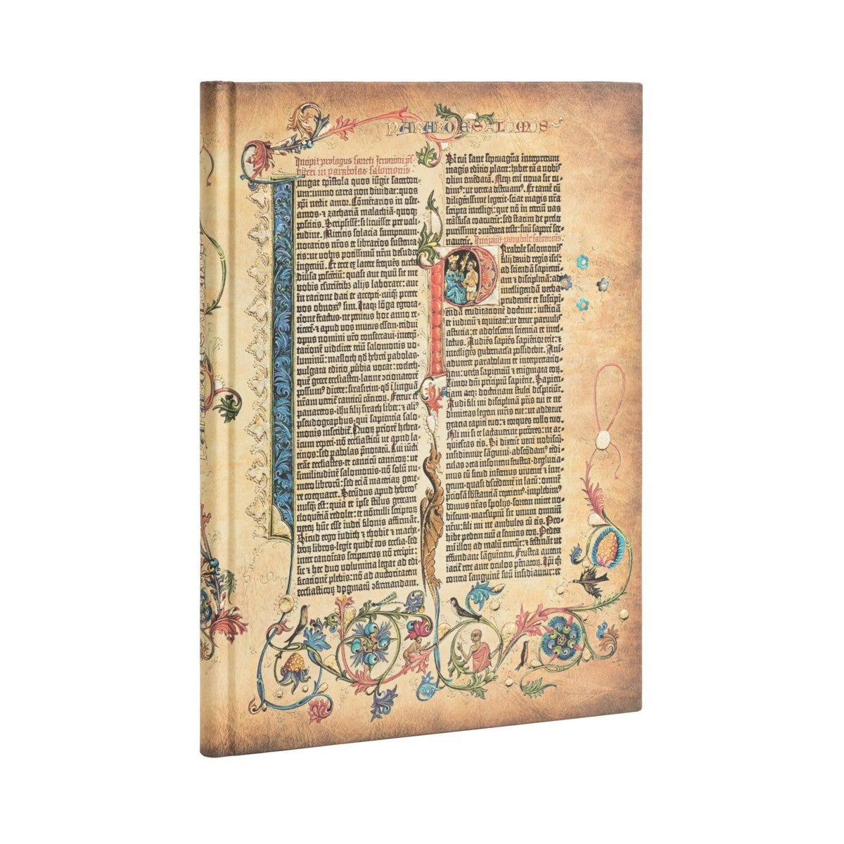 Notatbok Paperblanks Parabole grande