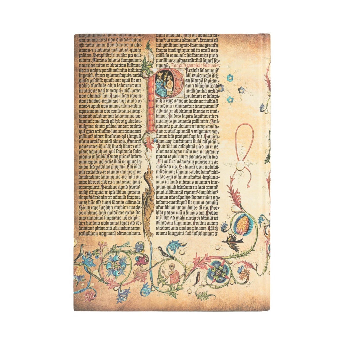 Notatbok Paperblanks Parabole grande