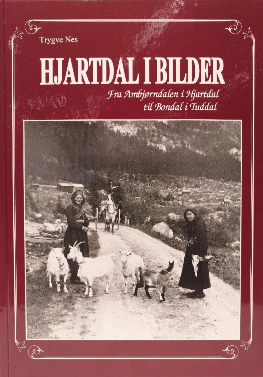 Hjartdal i bilder