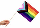 Flagg Progress papir 20x30cm pinne 10pk