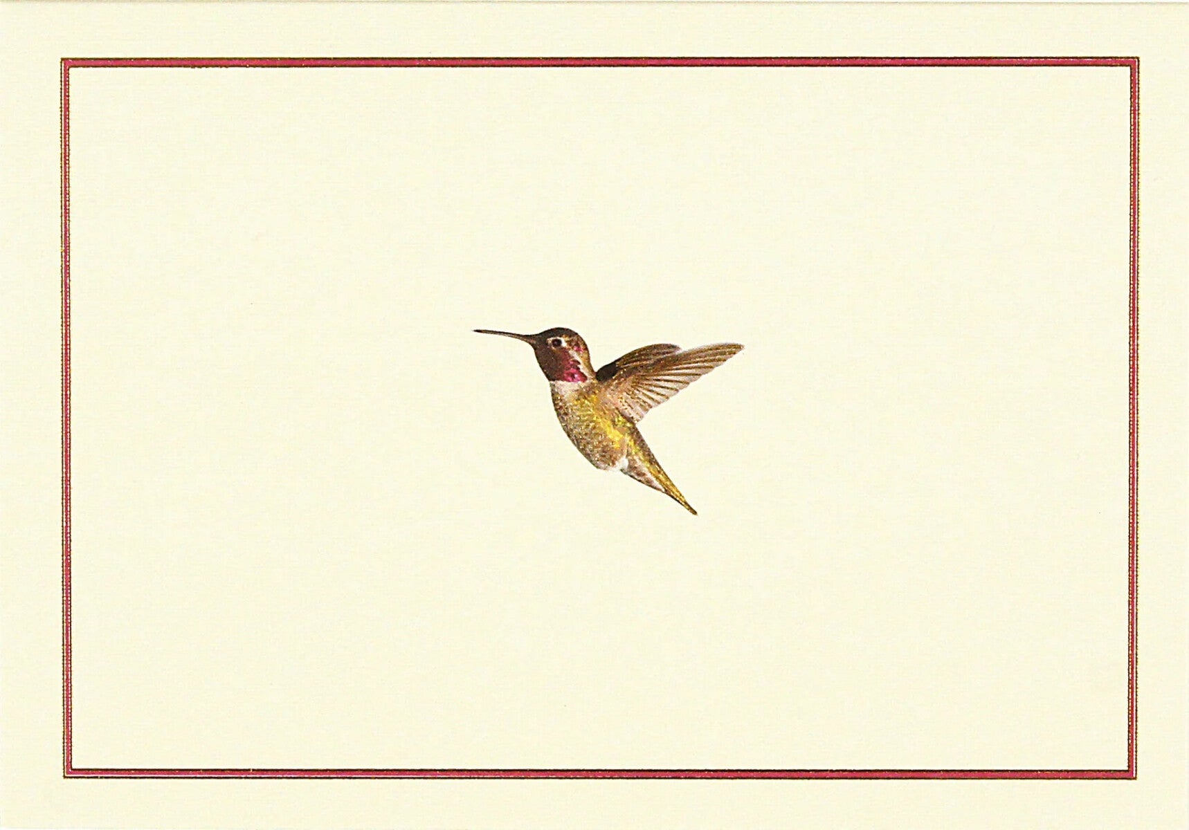 Kortpakke Hummingbird 14 kort 15 konv