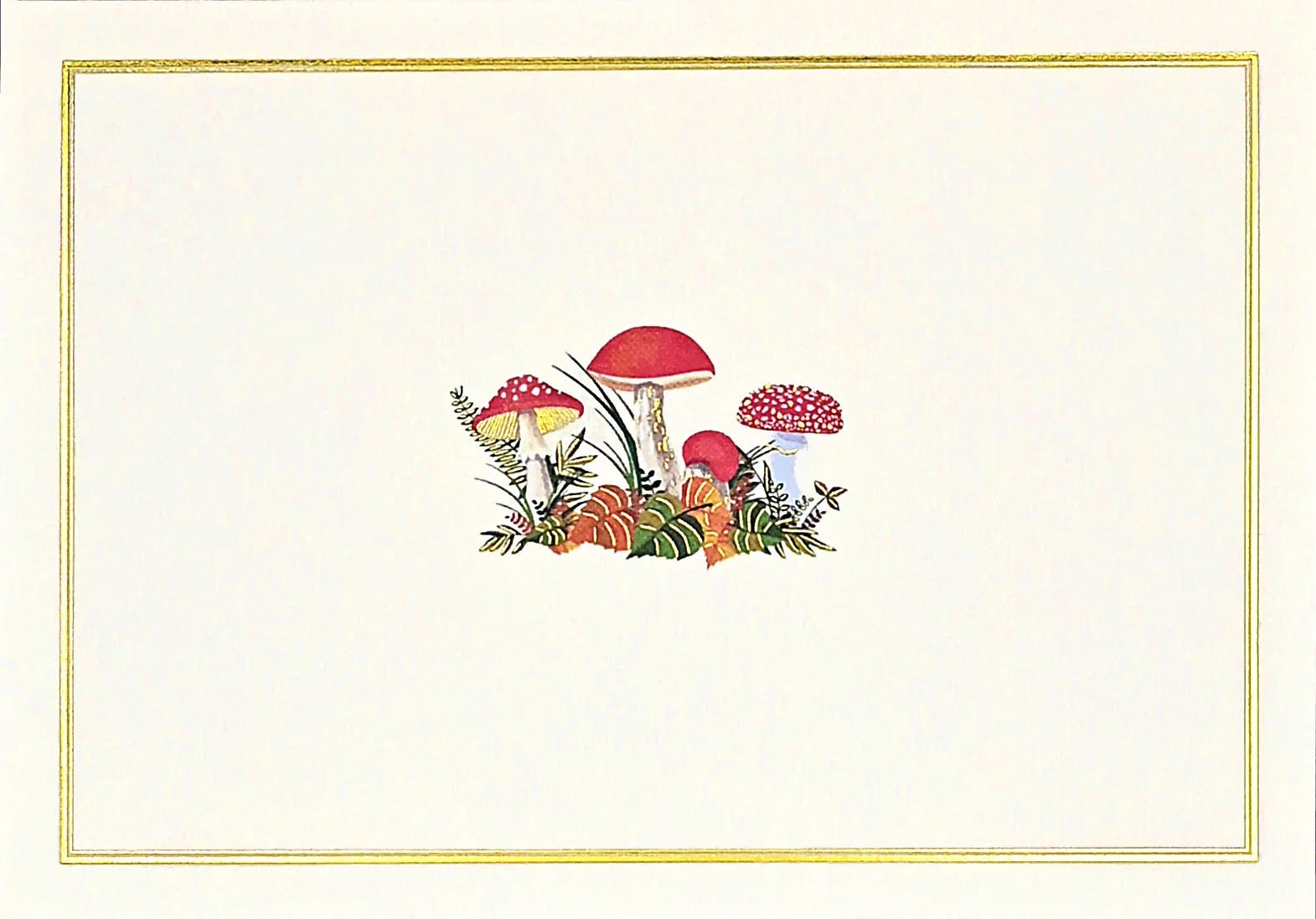 Kortpakke Mushrooms 14 kort 15 konv
