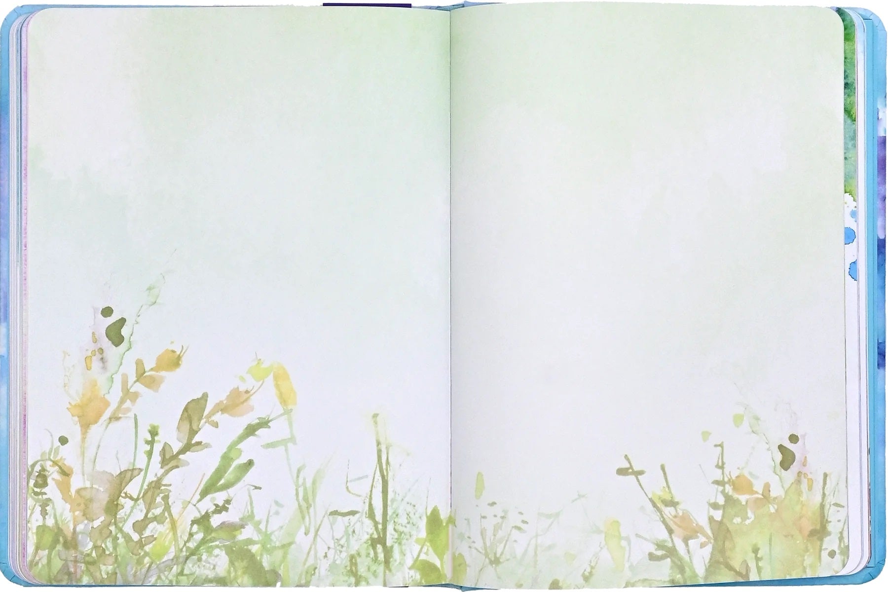 Journal Reflections M