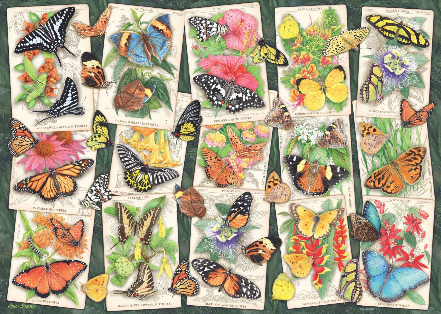 Puslespill 1000 Tropisk Sommerfugl Ravensburger