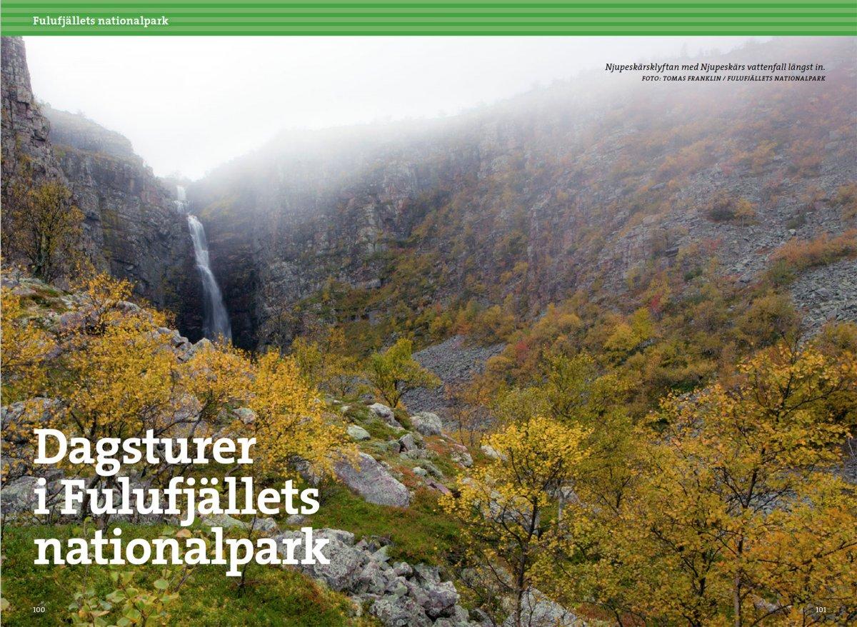 Vandra i Sälen och Fulufjällens nationalpark