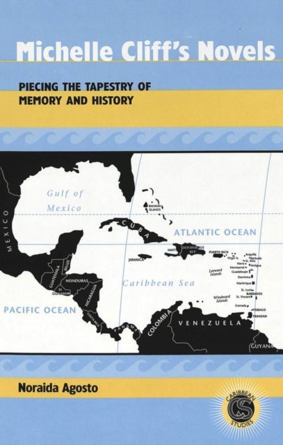 Michelle Cliff''s Novels - Piecing the Tapestry of Memory and History