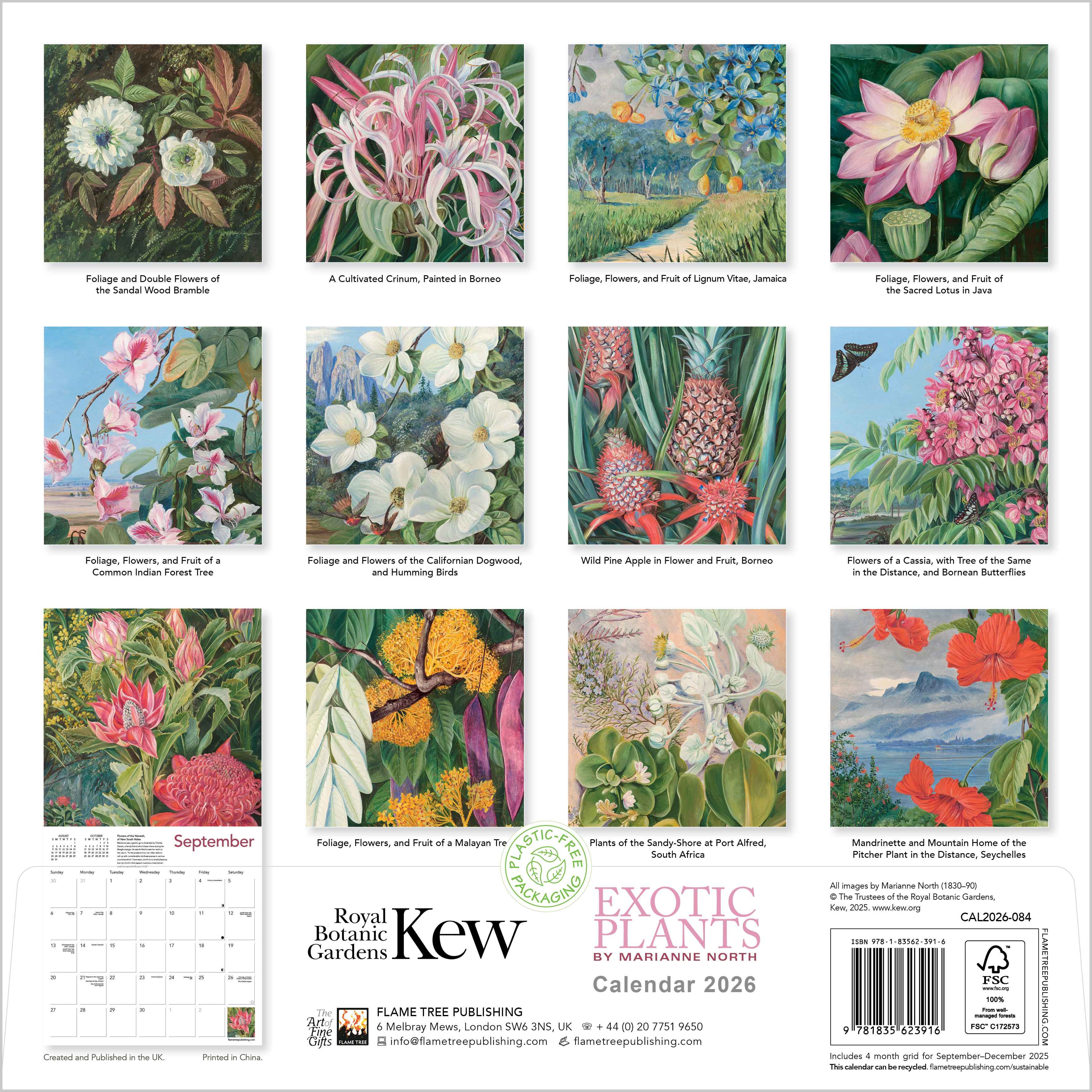 Kalender 2026 30x30 Exotic Plants