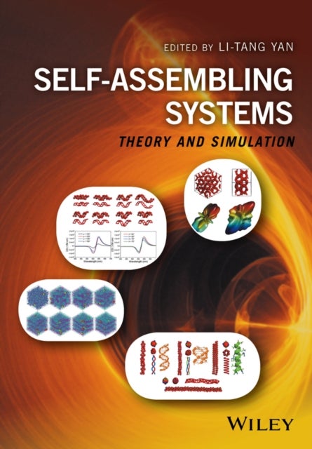 Self–Assembling Systems – Theory and Simulation - Theory and Simulation