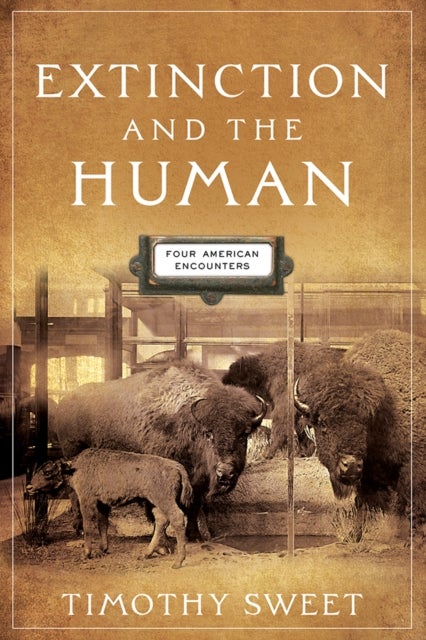 Extinction and the Human - Four American Encounters