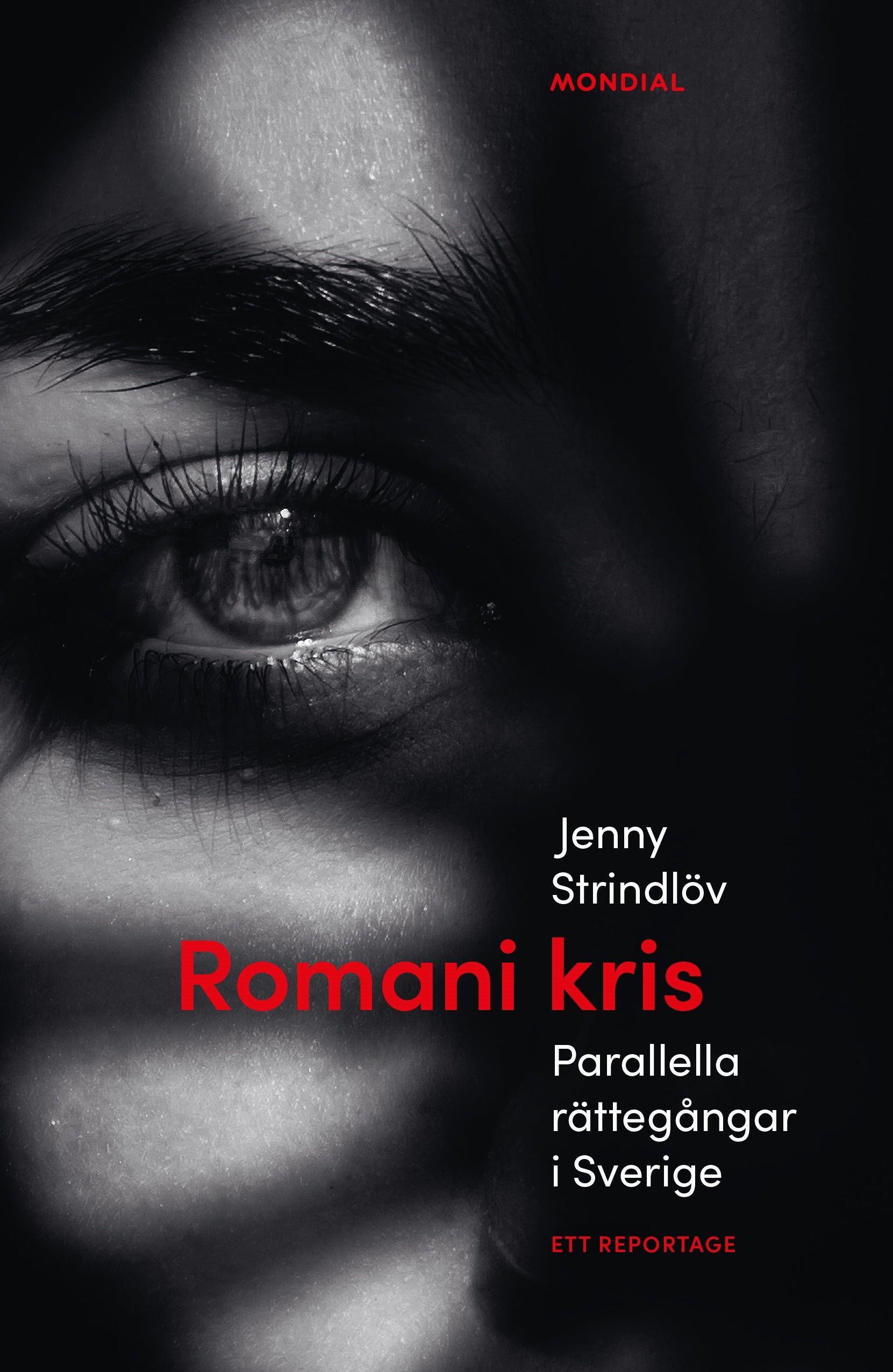 Romani kris - parallella rättegångar i Sverige - ett reportage