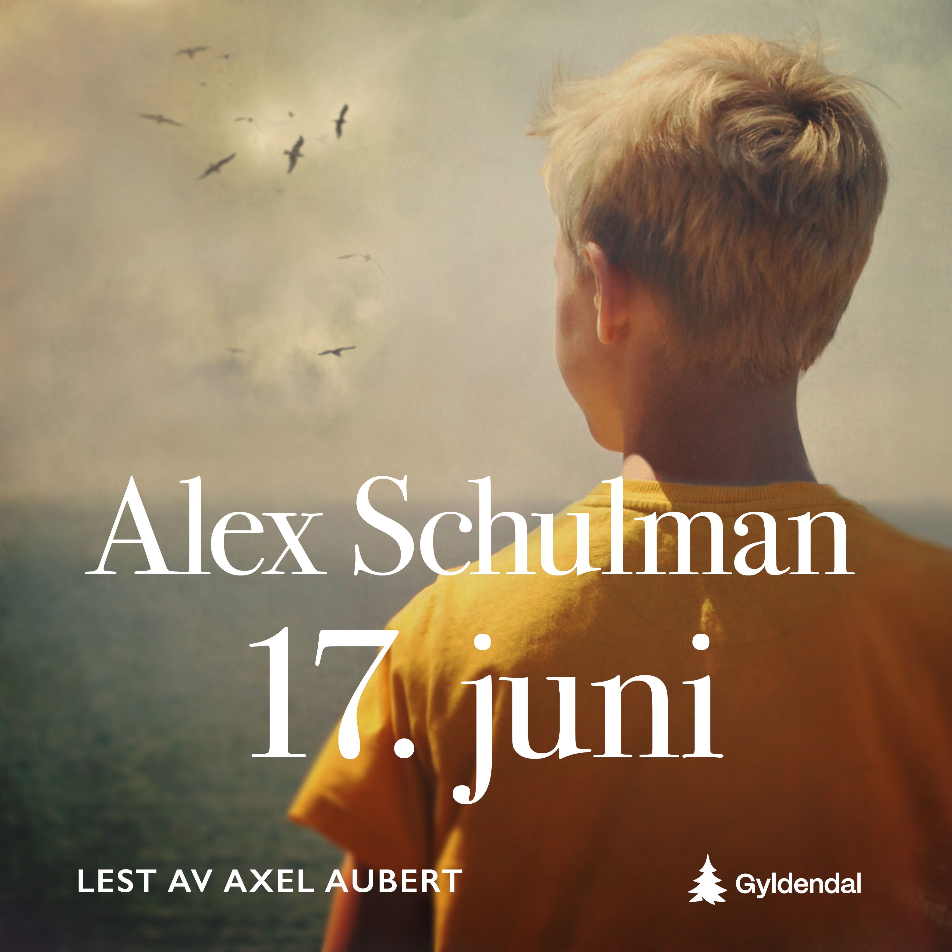 17. juni