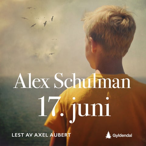 17. juni