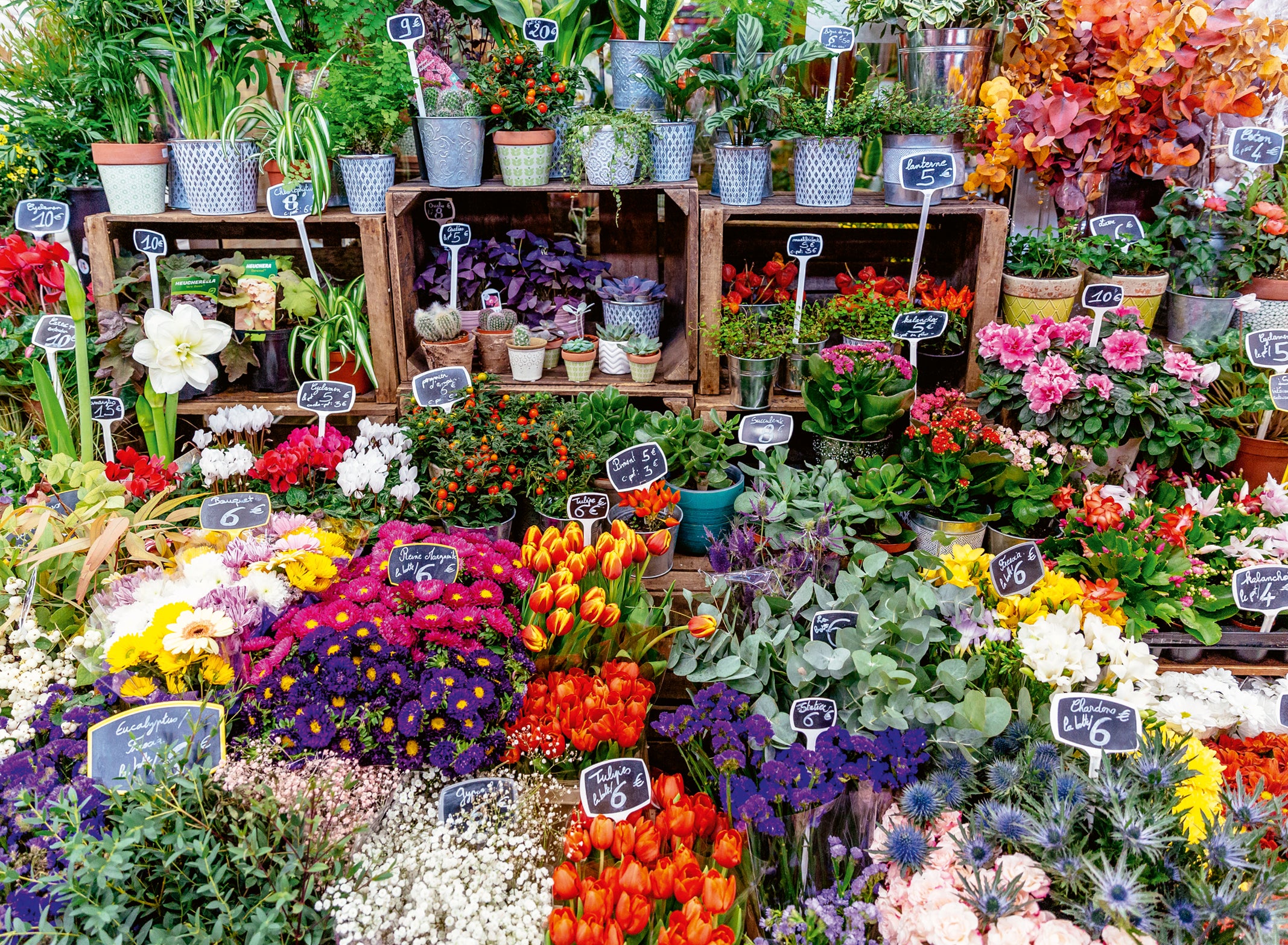 Puslespill 500 Blomstermarked Ravensburger