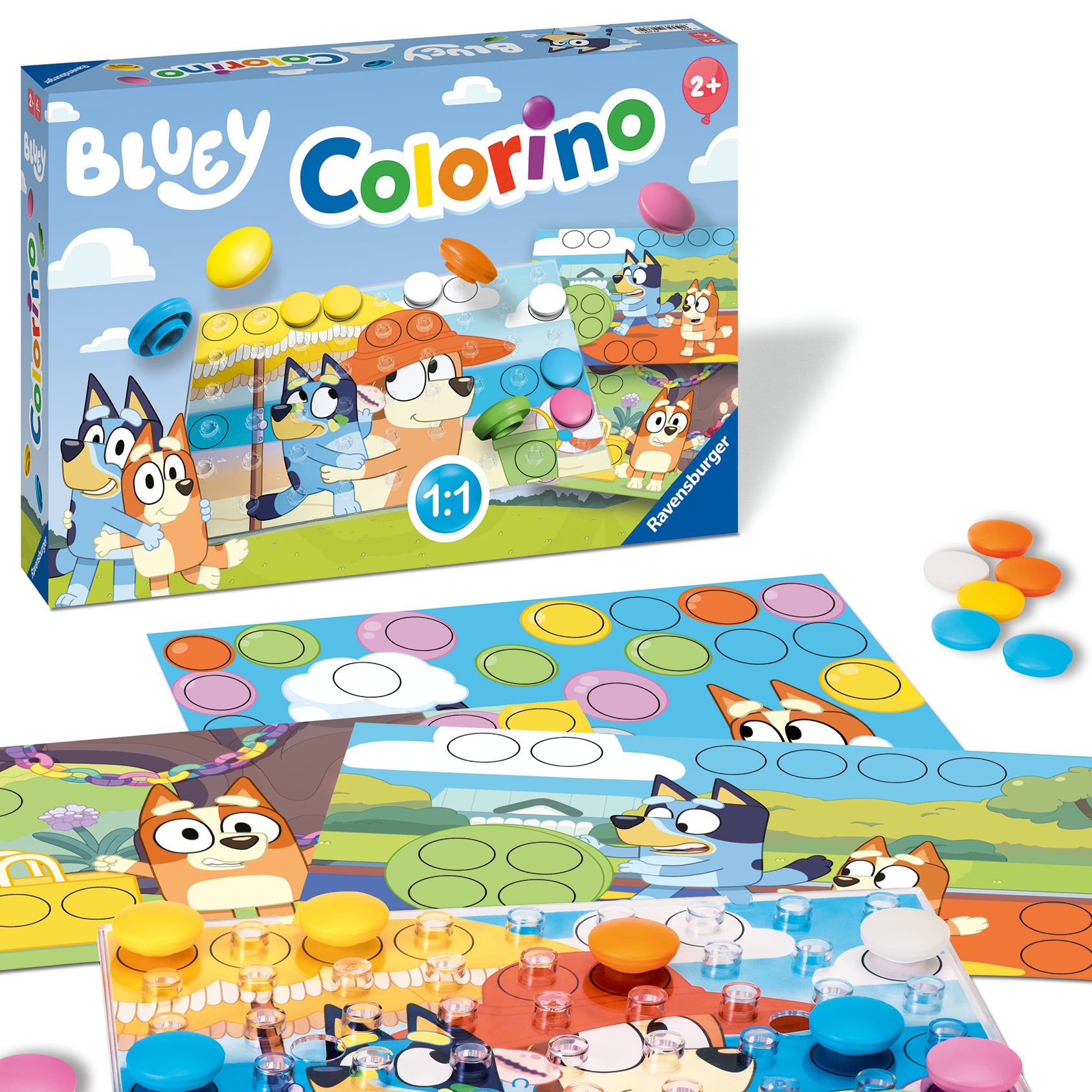 Spill Bluey Colorino