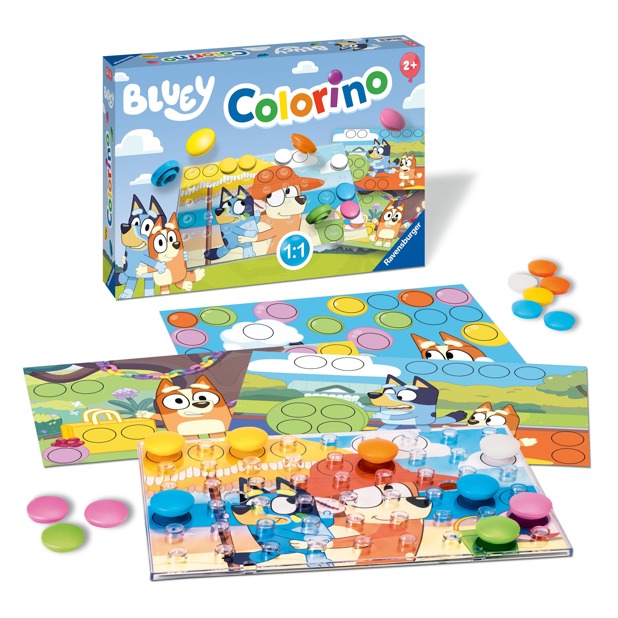 Spill Bluey Colorino