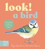 LOOK! A Bird