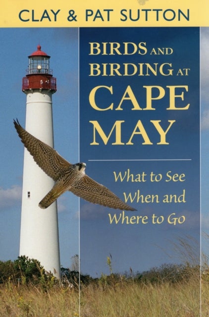 Birds and Birding at Cape May - What to See, When and Where to Go