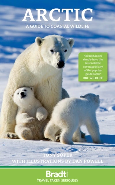 Arctic - A guide to coastal wildlife
