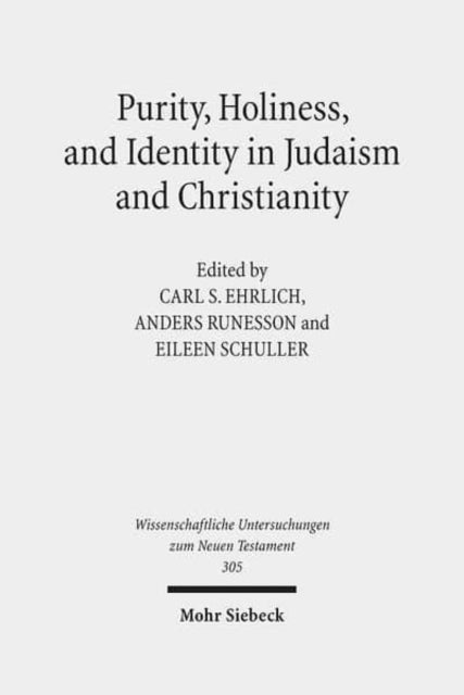 Purity, Holiness, and Identity in Judaism and Christianity - Essays in Memory of Susan Haber
