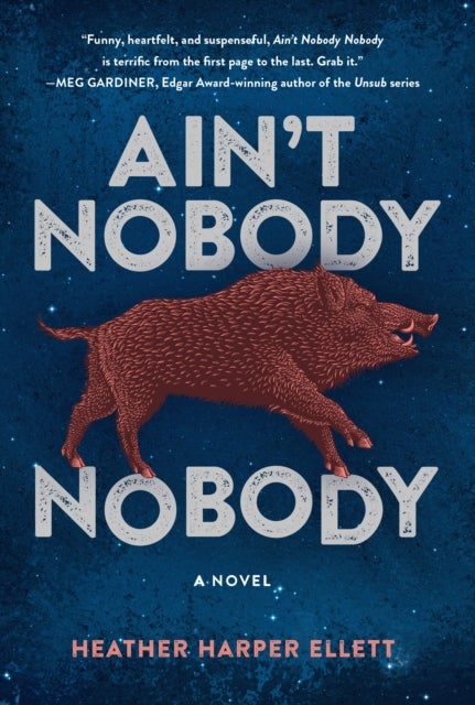 Ain't Nobody Nobody