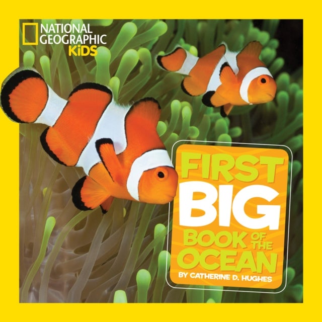 Little Kids First Big Book of The Ocean - Fact-Filled Fun Book About Amazing Sea Life and Underwater Wonders