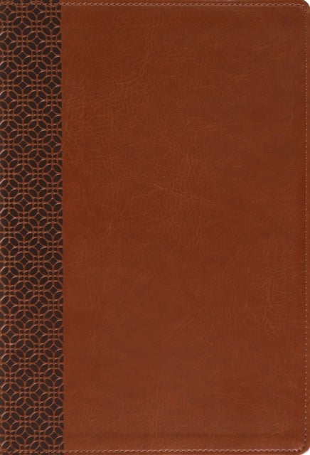 Amplified Holy Bible, Large Print, Leathersoft, Brown - Captures the Full Meaning Behind the Original Greek and Hebrew