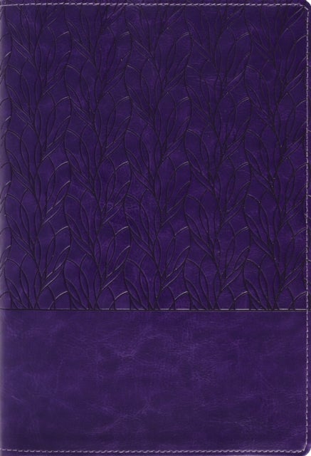 Amplified Holy Bible, Large Print, Leathersoft, Purple - Captures the Full Meaning Behind the Original Greek and Hebrew