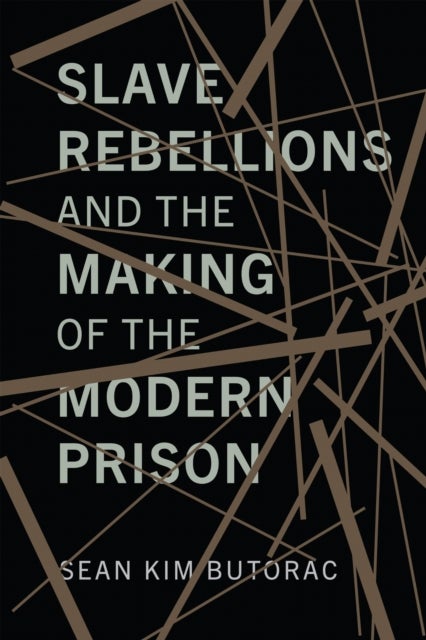Slave Rebellions and the Making of the Modern Prison
