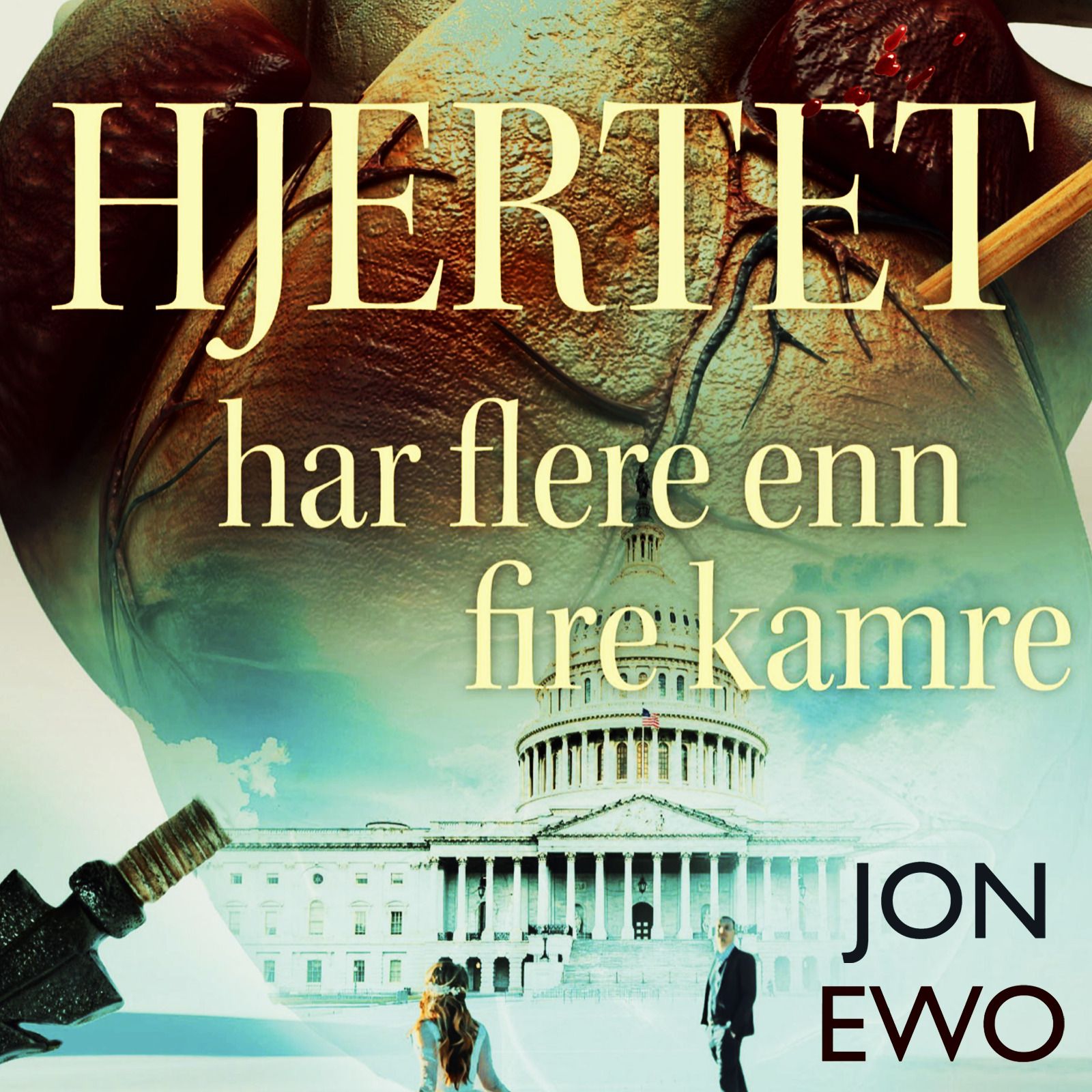 Hjertet har flere enn fire kamre