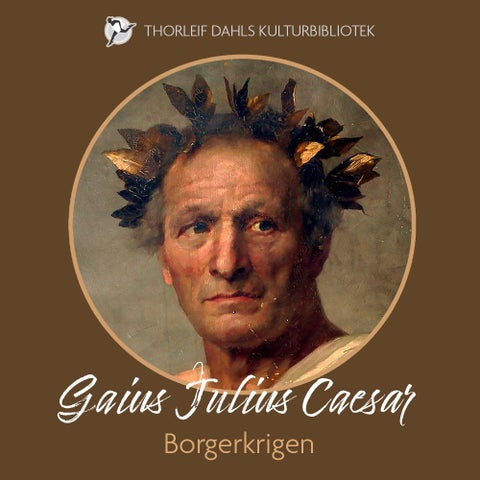 Borgerkrigen