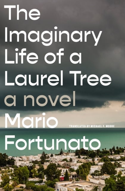 The Imaginary Life of a Laurel Tree - A Novel