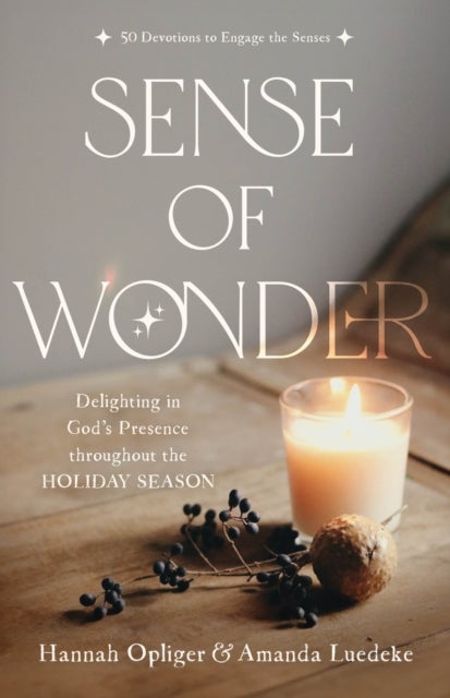 Sense of Wonder - Delighting in God's Presence throughout the Holiday Season
