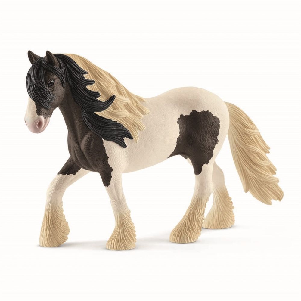 Tinker Stallion