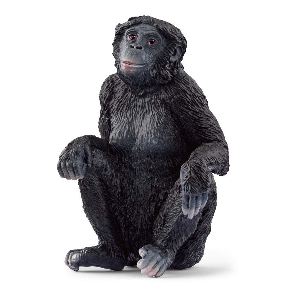 Schleich Bonobohunn