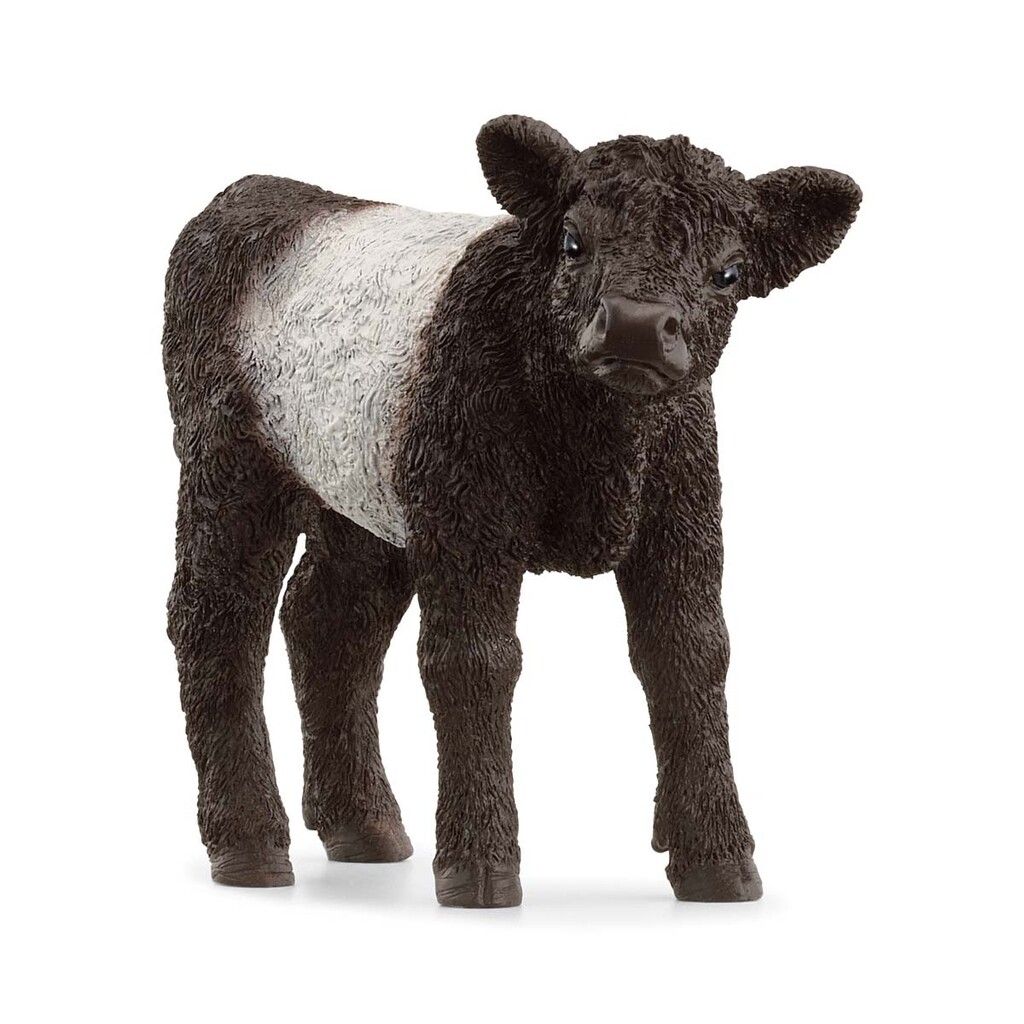 Schleich Gallowaykalv