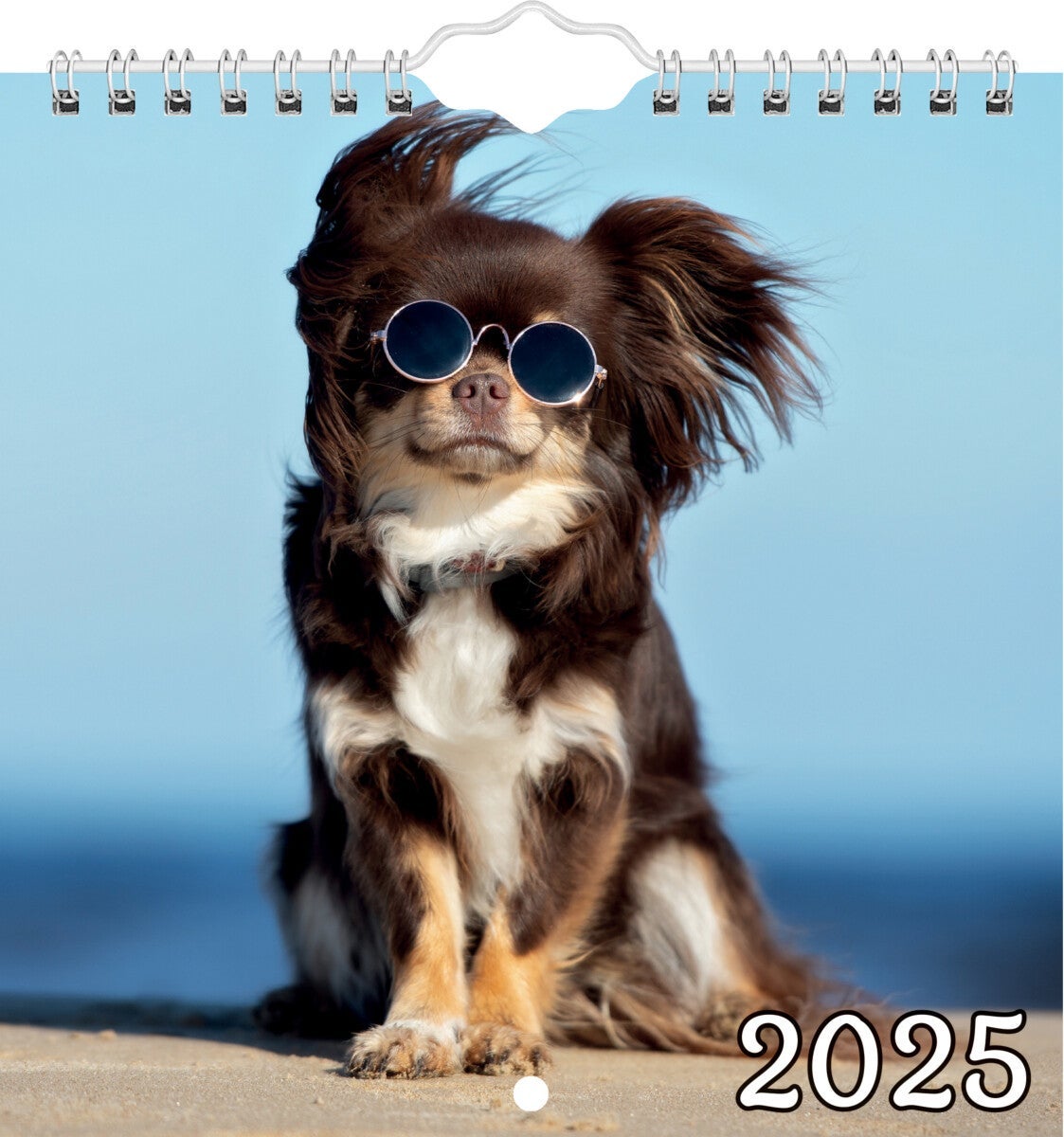 Kalender 2025 Hunder M