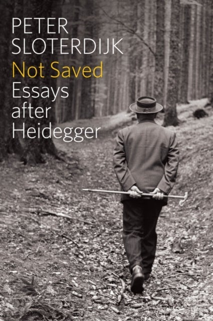 Not Saved – Essays After Heidegger - Essays After Heidegger