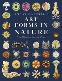 Ernst Haeckel's Art Forms in Nature - A Visual Masterpiece of the Natural World