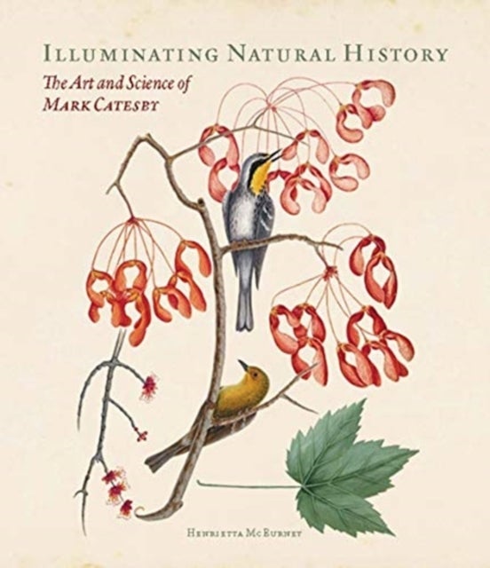 Illuminating Natural History – The Art and Science of Mark Catesby - The Art and Science of Mark Catesby