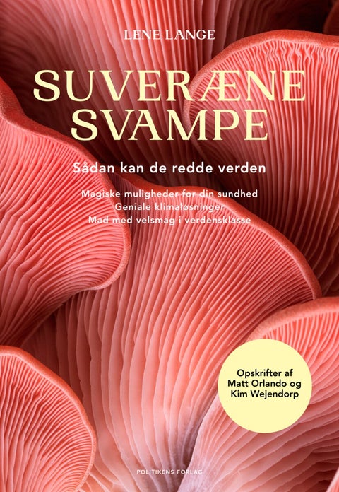 Suveræne svampe - Sådan kan de redde verden