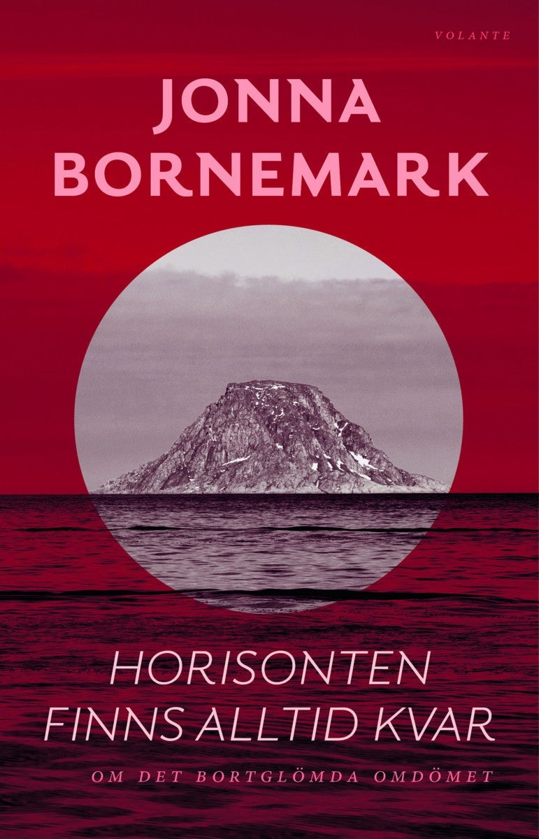 Horisonten finns alltid kvar - Om det bortglömda omdömet