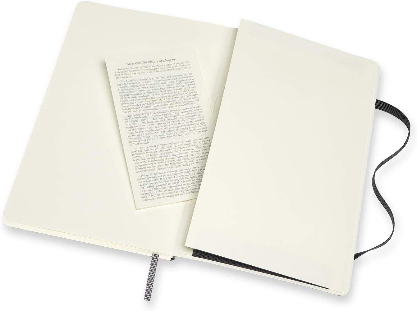 Notatbok Moleskine L linjert/blank Sort Soft