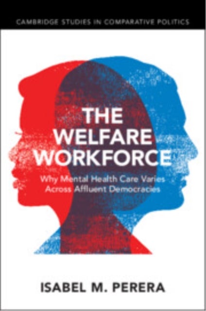 The Welfare Workforce - Why Mental Health Care Varies Across Affluent Democracies