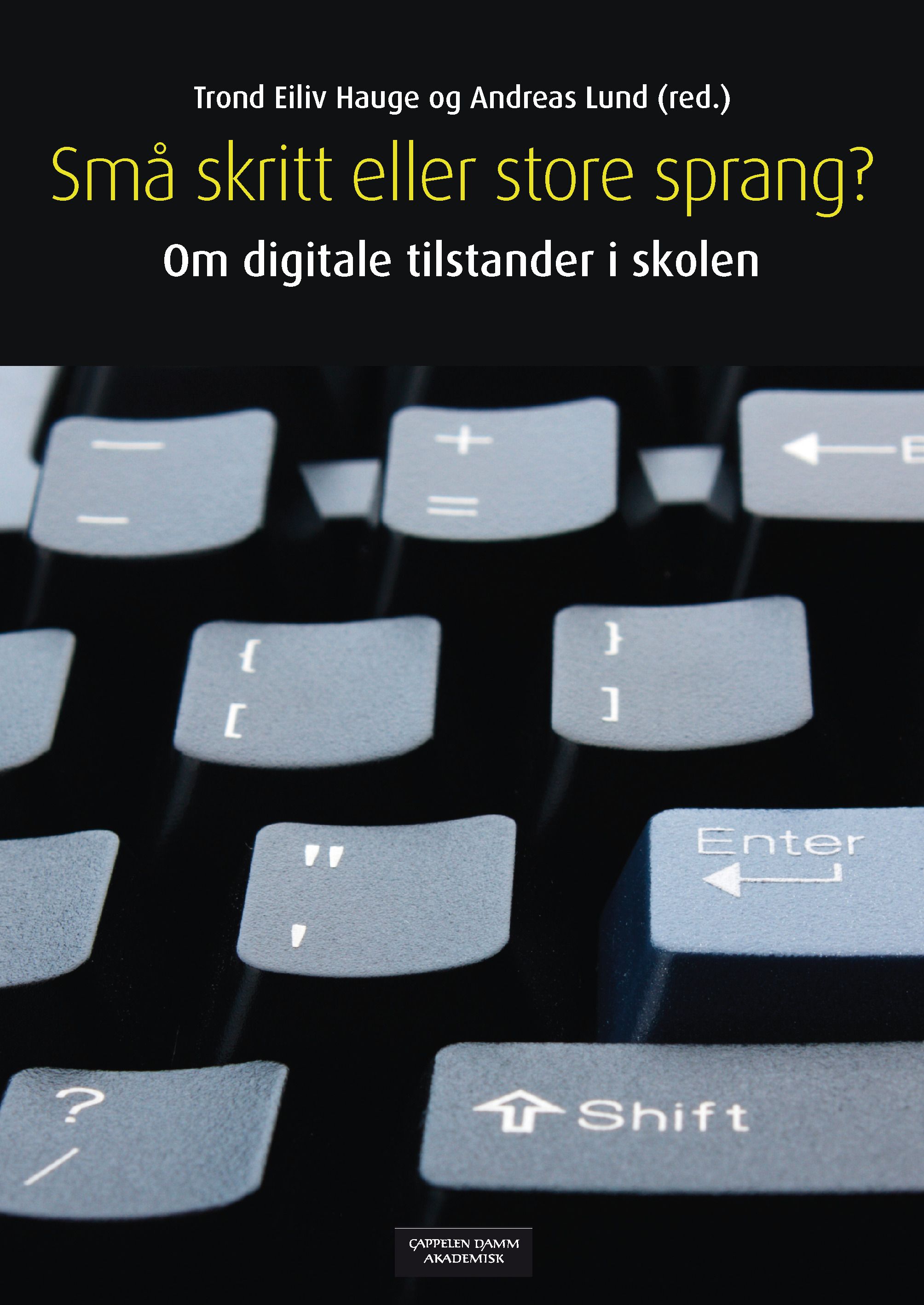 Små skritt eller store sprang? - om digitale tilstander i skolen