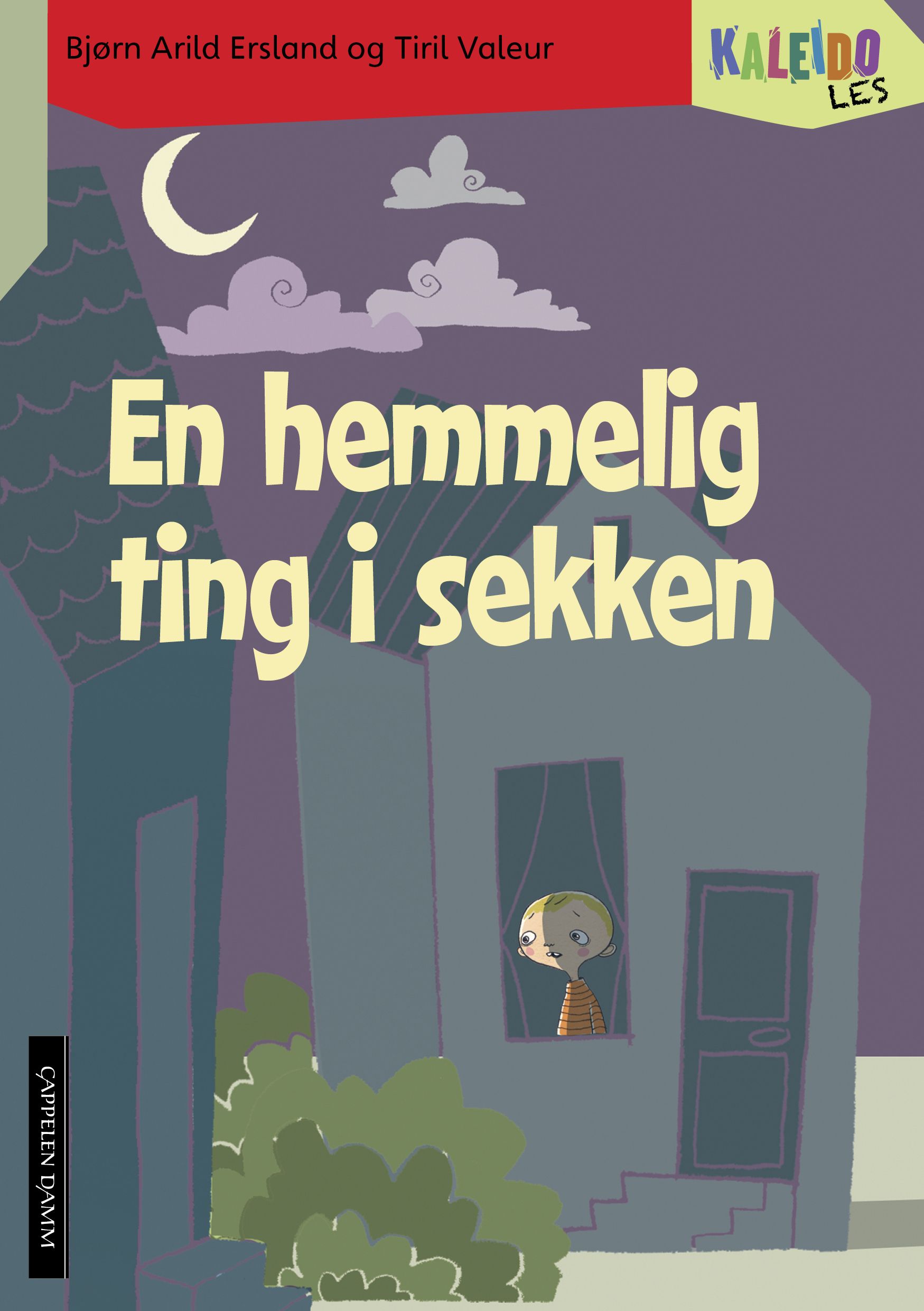 Kaleido les - nivå 4 : en hemmelig ting i sekken