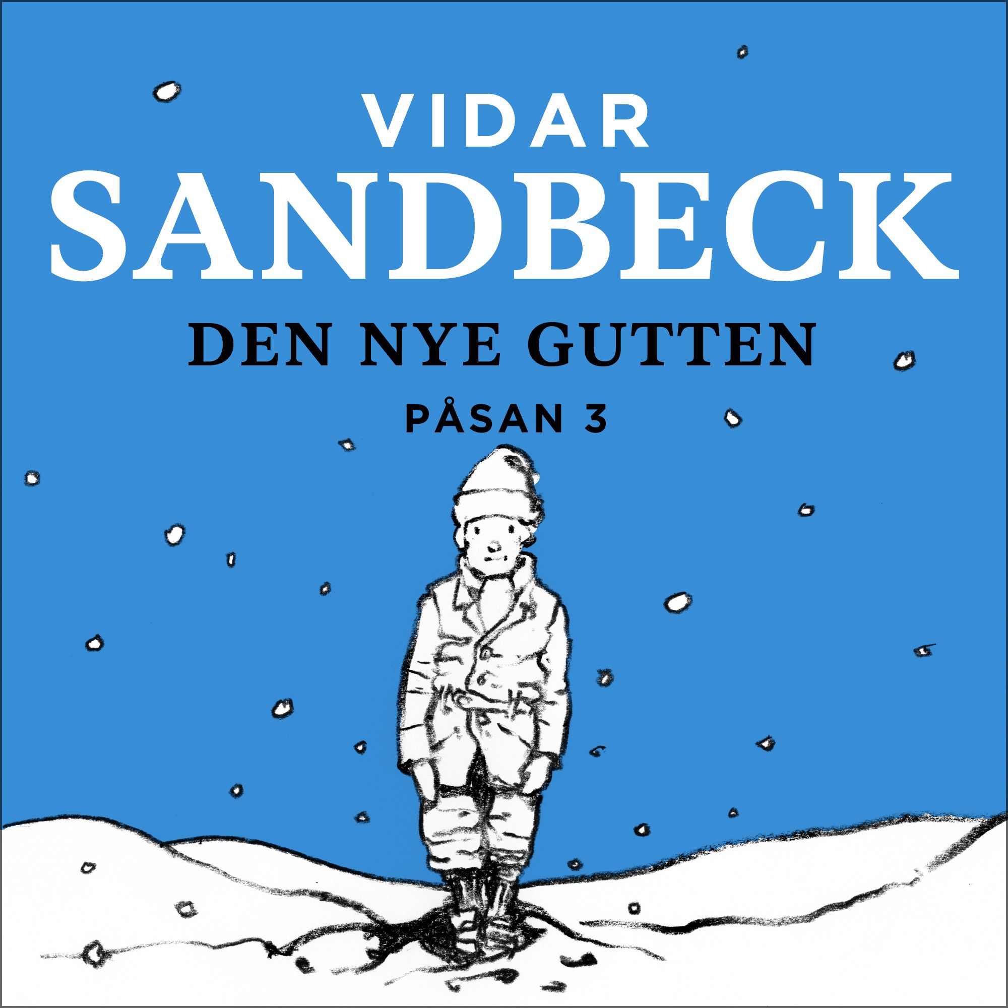 Den nye gutten