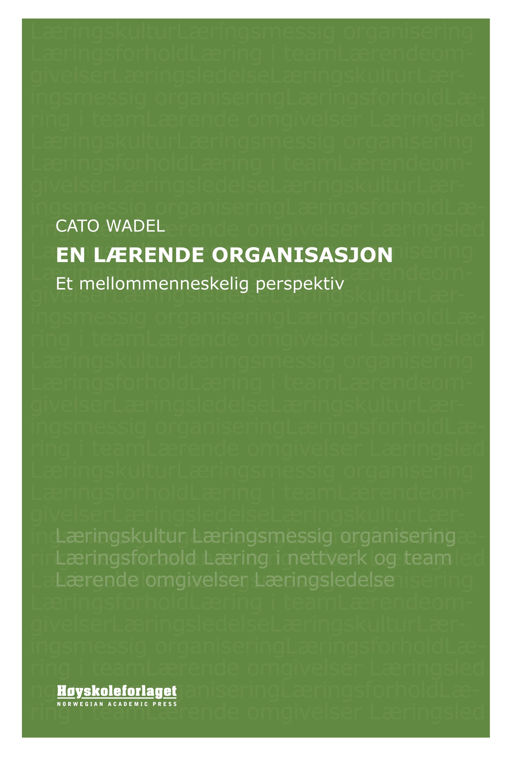 En lærende organisasjon - et mellommenneskelig perspektiv
