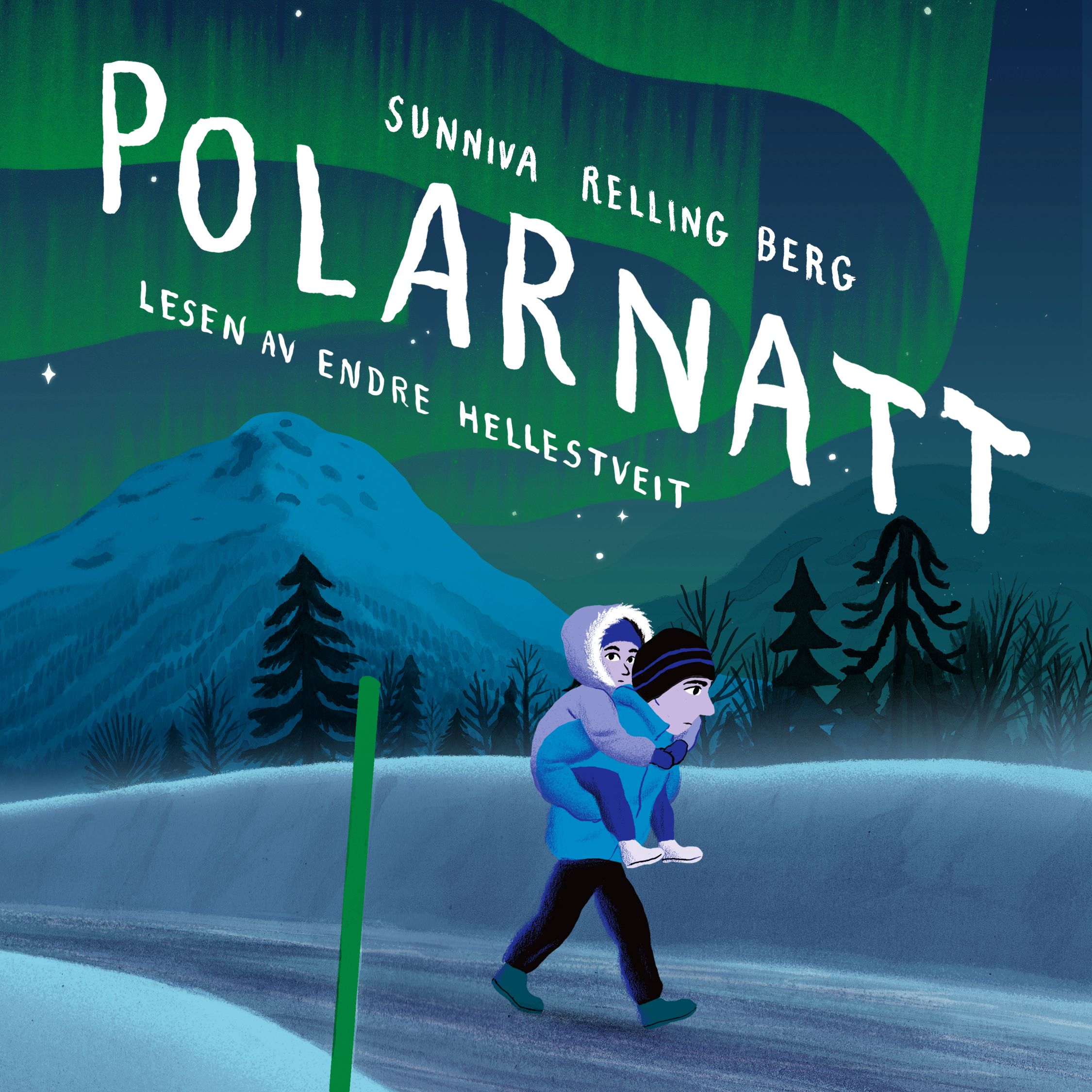 Polarnatt